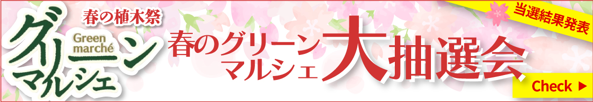 春のグリーンマルシェ抽選会結果発表